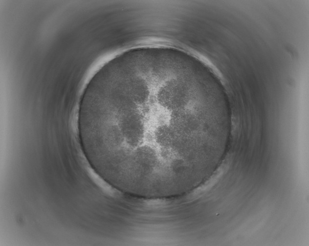 X0000115671421200911121143