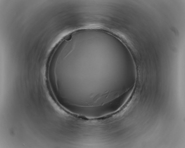 X0000115671422200911121143