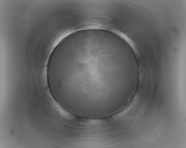 X0000115671423200911121143