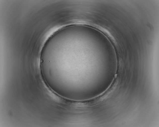 X0000115671424200911121143