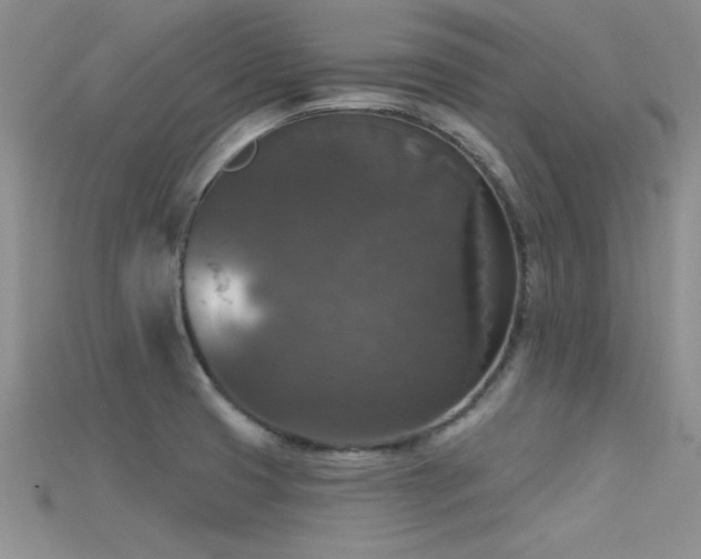 X0000115671425200911121143