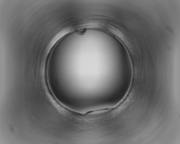 X0000115671426200911121143