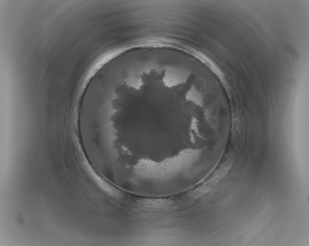 X0000115671429200911121143