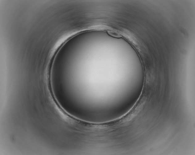 X0000115671430200911121143
