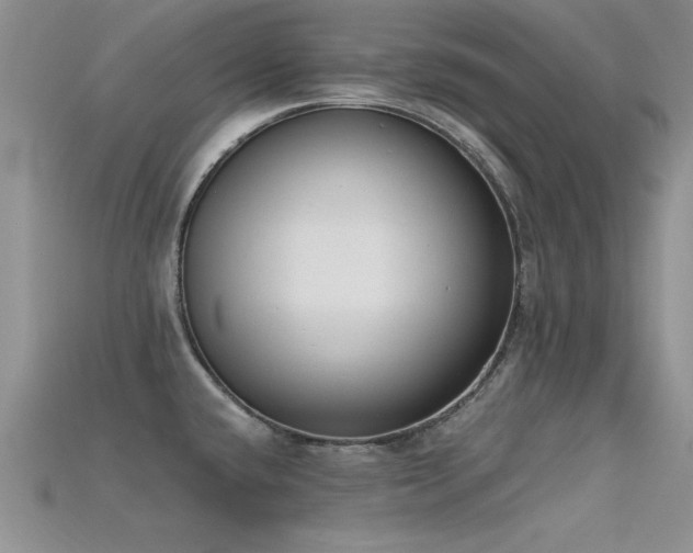 X0000115671432200911121143