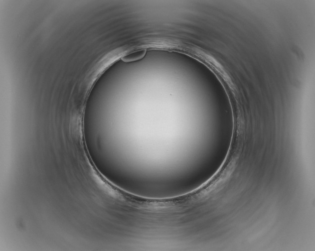 X0000115671433200911121143