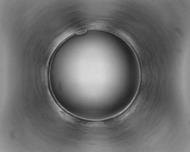 X0000115671434200911121143