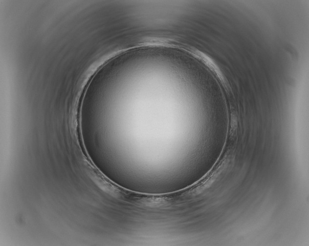 X0000115671435200911121143