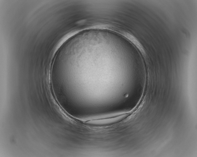 X0000115671436200911121143