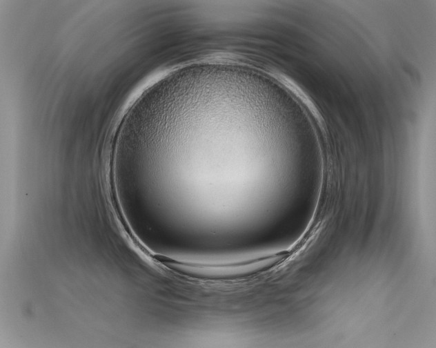 X0000115671437200911121143