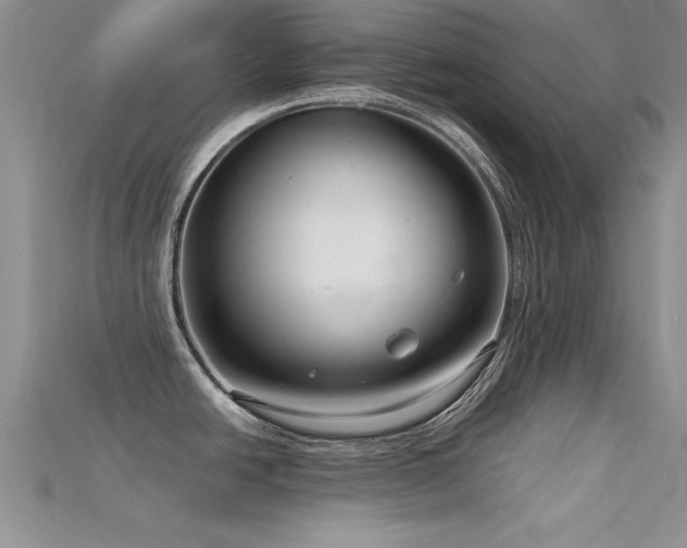 X0000115671438200911121143