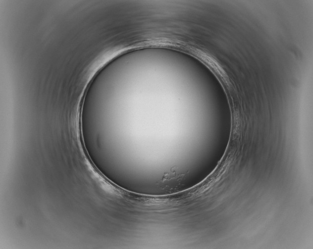 X0000115671439200911121143