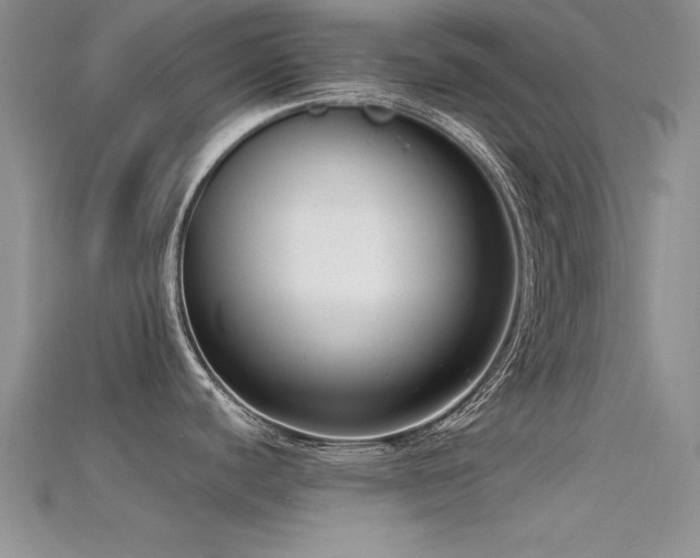 X0000115671440200911121144