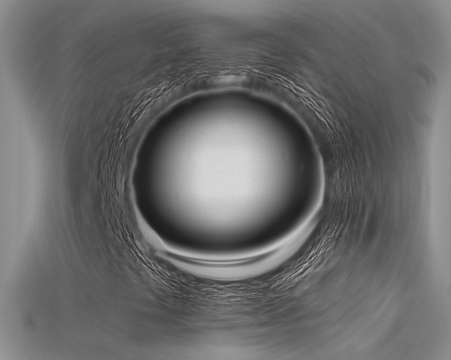 X0000115671441200911121143