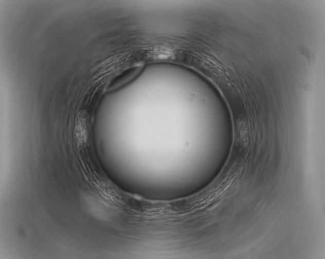 X0000115671442200911121143