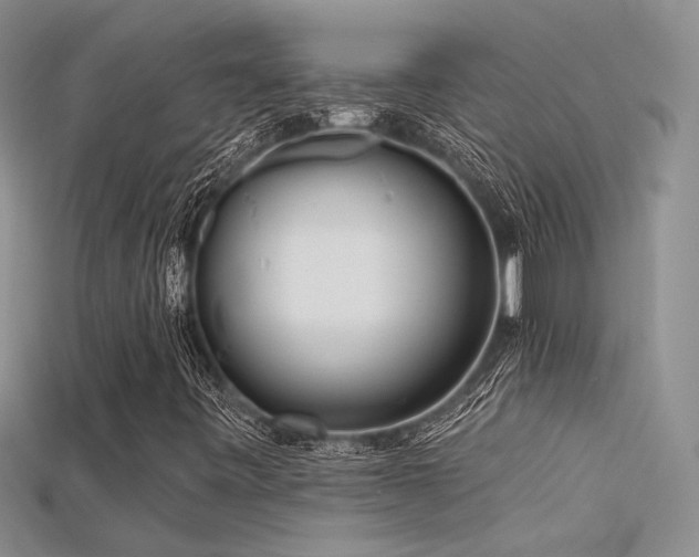 X0000115671443200911121143