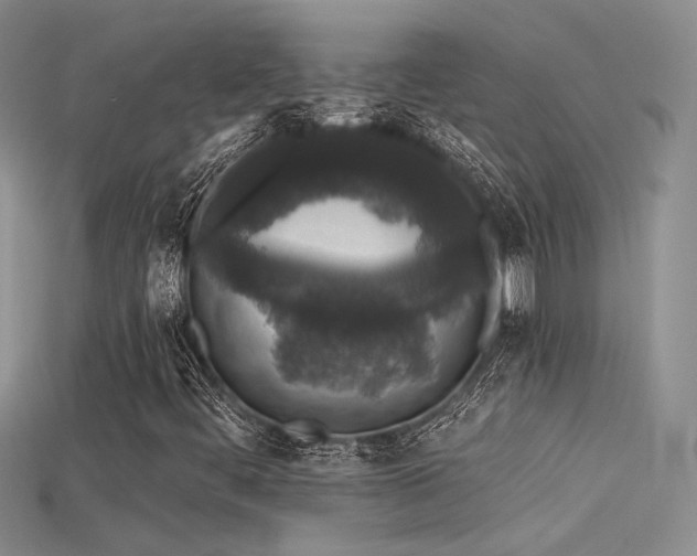 X0000115671444200911121143