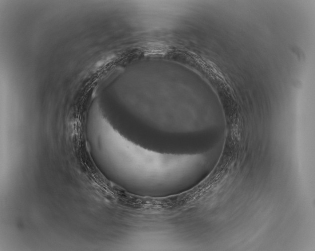 X0000115671445200911121143