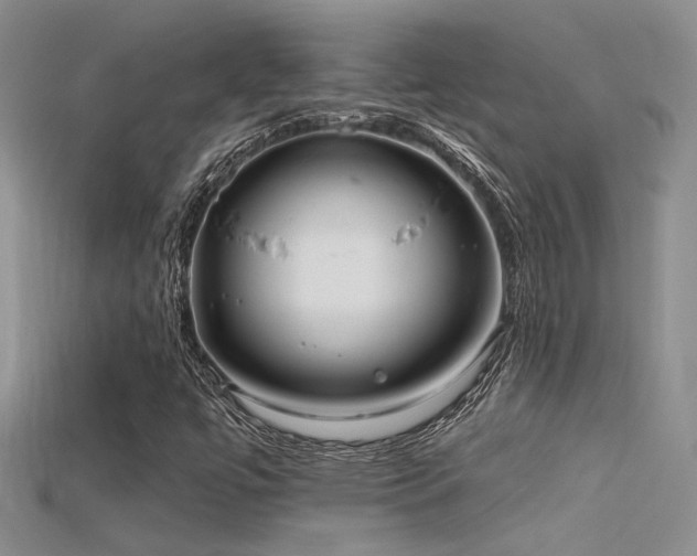 X0000115671447200911121143