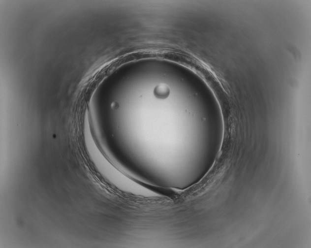 X0000115671448200911121143