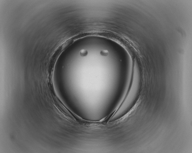 X0000115671449200911121143