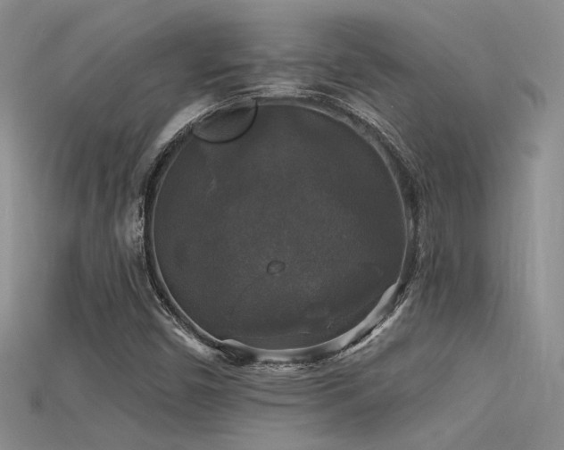 X0000115671450200911121143