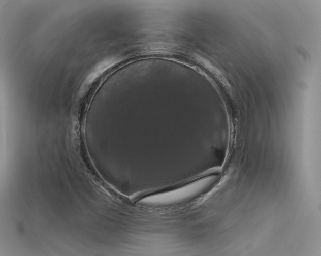 X0000115671453200911121143