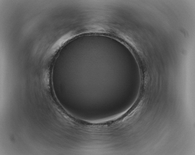 X0000115671455200911121143