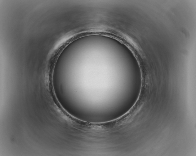 X0000115671456200911121143