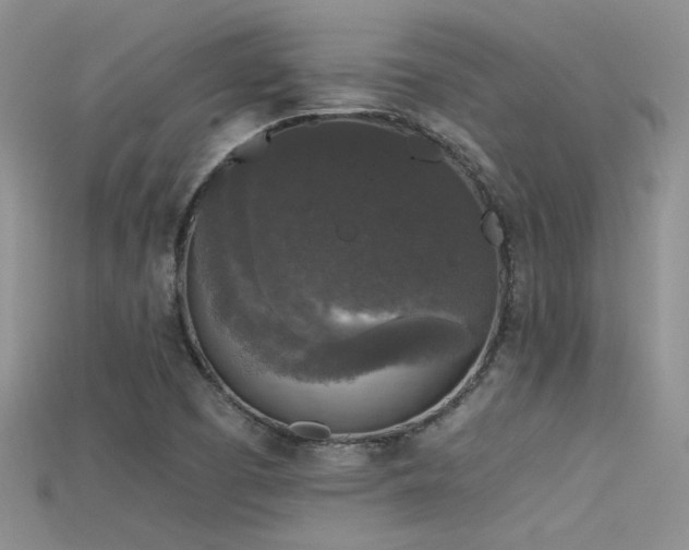 X0000115671457200911121143