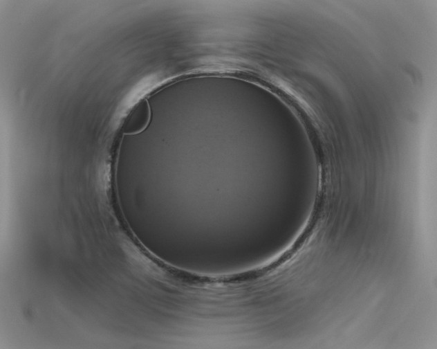 X0000115671459200911121142