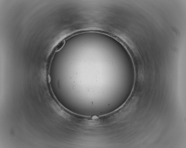 X0000115671460200911121142