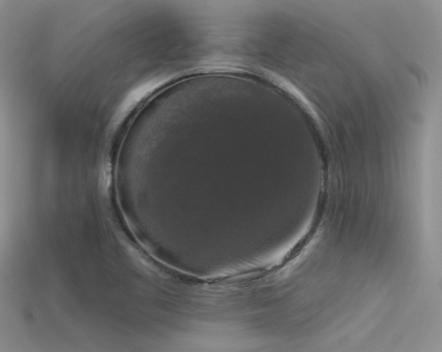 X0000115671461200911121142