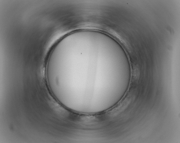 X0000115671462200911121142