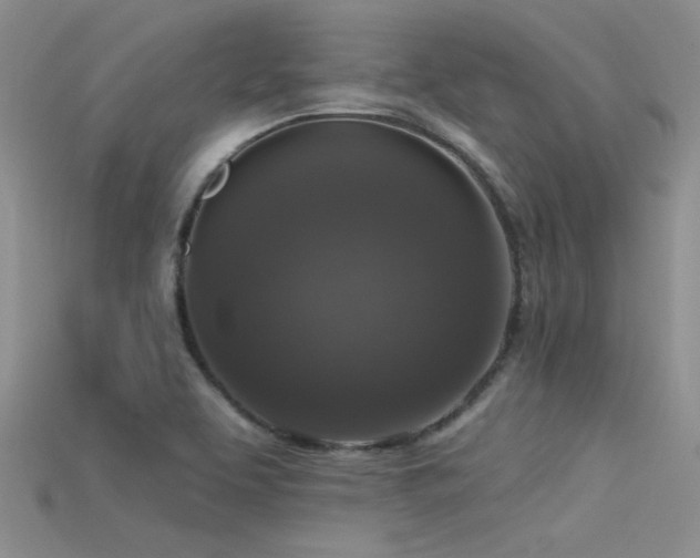 X0000115671463200911121142