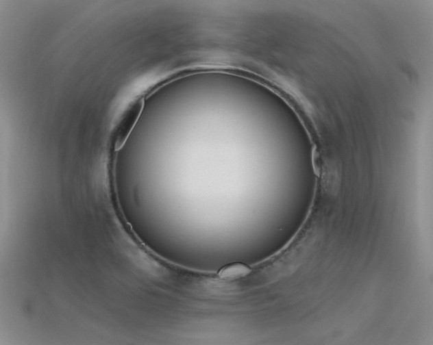 X0000115671464200911121142