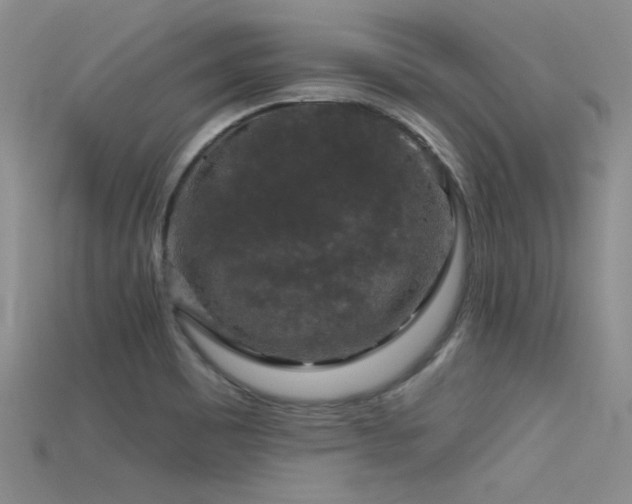 X0000115671465200911121142