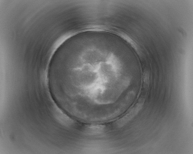 X0000115671466200911121142
