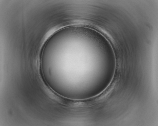 X0000115671467200911121142