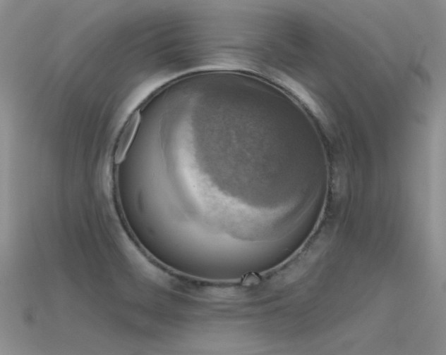 X0000115671468200911121142