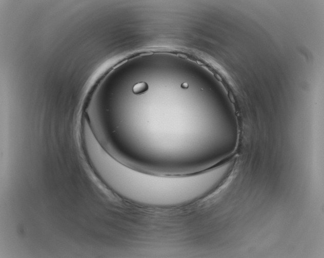 X0000115671469200911121142