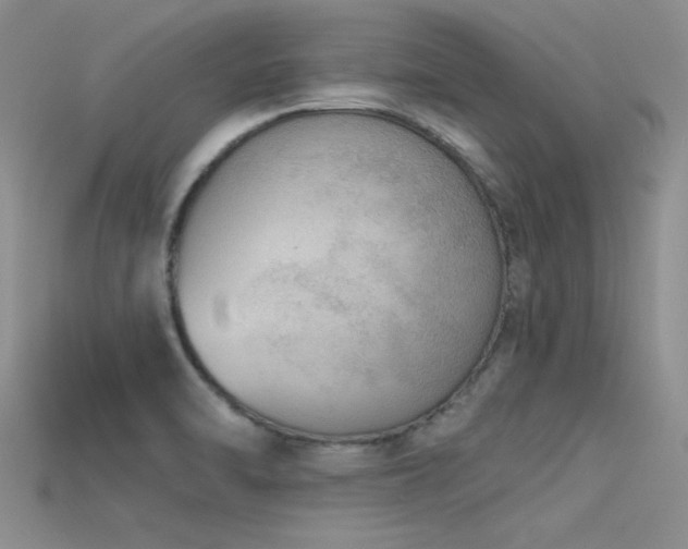 X0000115671470200911121142