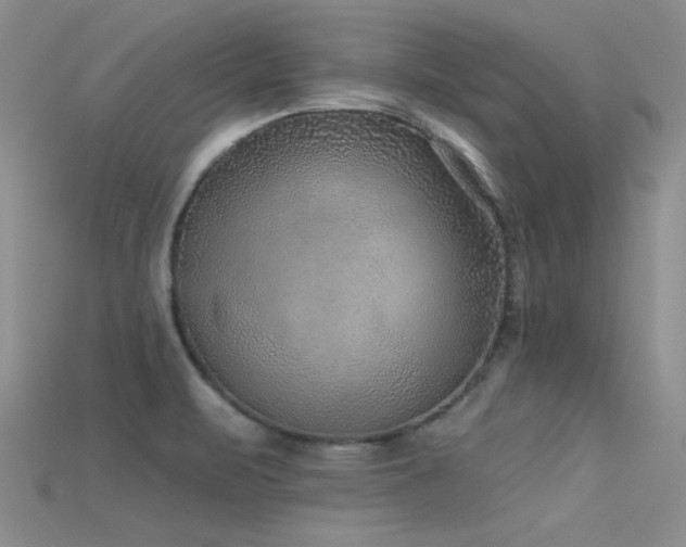 X0000115671471200911121142