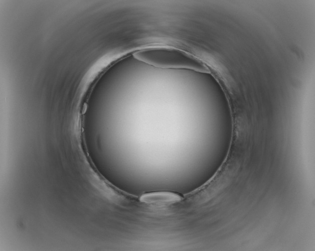 X0000115671472200911121142