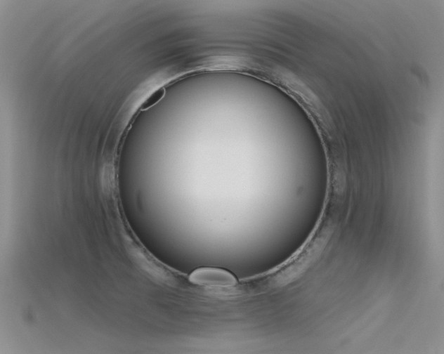 X0000115671473200911121142