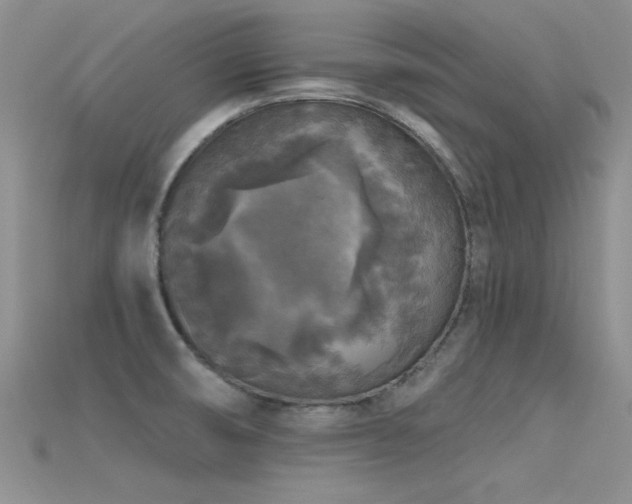 X0000115671474200911121142