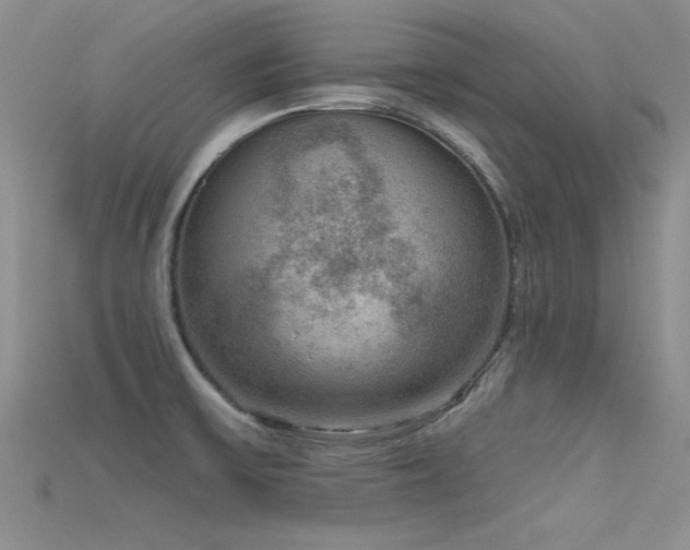 X0000115671475200911121142