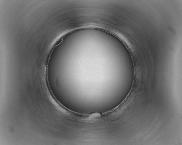 X0000115671476200911121142