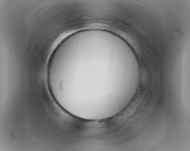 X0000115671478200911121142