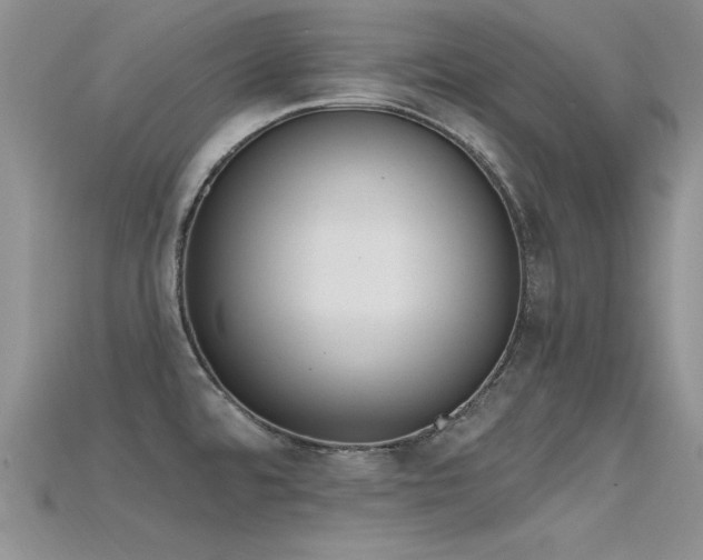 X0000115671480200911121142